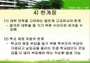 [교육행정학] 자립형사립고에 대해서 22페이지