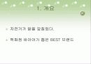 빈폴 마케팅 전략 분석-SWOT분석,STP 전략,4P Mix 전략(A+레포트)★★★★★ 3페이지