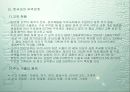 해외시장조사(체코-중고차시장) 17페이지