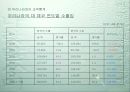 해외시장조사(체코-중고차시장) 18페이지