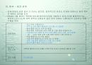 해외시장조사(체코-중고차시장) 19페이지