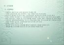 해외시장조사(체코-중고차시장) 20페이지