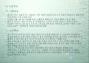 해외시장조사(체코-중고차시장) 30페이지