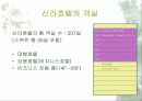 신라호텔에 대해서 조사하기 7페이지