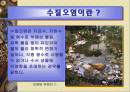 수질오염의 유형과 대책 2페이지