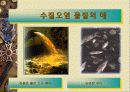 수질오염의 유형과 대책 5페이지