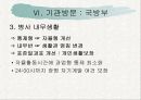 군대 내 폭행의 문제점과 해결대안 제시(A+레포트)★★★★★ 25페이지