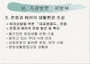 군대 내 폭행의 문제점과 해결대안 제시(A+레포트)★★★★★ 27페이지