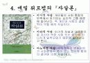 자살의 원인 및 해결방안(A+레포트) 10페이지
