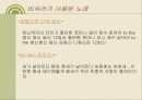성차별어 비속어속어 은어유행어에 관한 파워포인트 발표 14페이지