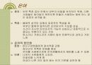 성차별어 비속어속어 은어유행어에 관한 파워포인트 발표 17페이지