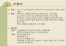 성차별어 비속어속어 은어유행어에 관한 파워포인트 발표 19페이지