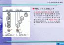국기게양대 3페이지