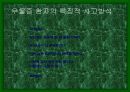 우울증 문제 치료와 대처방법 11페이지
