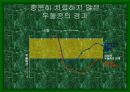 우울증 문제 치료와 대처방법 18페이지