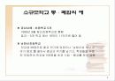 소규모학교 통폐합 9페이지