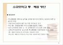 소규모학교 통폐합 12페이지