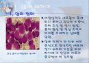 의료사회사업 소아암 파워포인트 3페이지