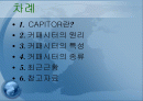 커패시터 2페이지
