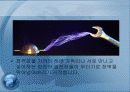 커패시터 9페이지
