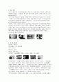 알프레드 히치콕 감독의 싸이코 분석 2페이지