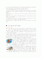 스키의 역사와 종류 4페이지