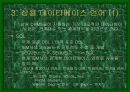 관계형 DB 언어에 대하여 14페이지