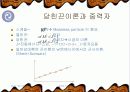 초끈이론과 시공간의 붕괴에 관한내용조사 3페이지