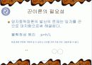 초끈이론과 시공간의 붕괴에 관한내용조사 5페이지