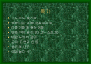 스포츠와 물리학 2페이지