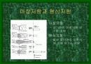 스포츠와 물리학 5페이지
