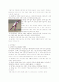 인나인 강습에 대해서... 17페이지