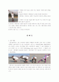 인나인 강습에 대해서... 20페이지