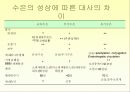 수은이 건강에 미치는 영향 5페이지