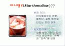 마시멜로를 읽고 나서 3페이지