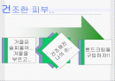 건조한 피부에 대한 PPT자료 2페이지