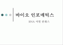 바이오인포매틱스 1페이지