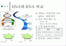 바이오인포매틱스 4페이지