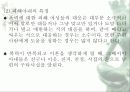 가부장제와 가정폭력 11페이지