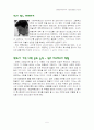 타인에게 보이는 나, 내 안에 있는 나. 5페이지