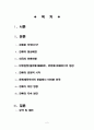 한류와 문화산업 2페이지