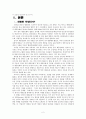 한류와 문화산업 4페이지
