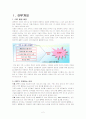 ERP도입 성공사례,실패사례-(주)코스텔, 삼성 SDI, ABC마트, FoxMeyer 2페이지