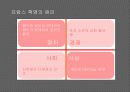 프랑스 대혁명 5페이지