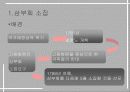 프랑스 대혁명 8페이지