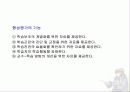 [교육학] 교육평가에 대한 PPT자료 11페이지