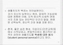 [교육학] 진로지도에 대한 PPT자료 11페이지