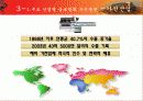중국의 글로벌화와 우리의 전략 8페이지
