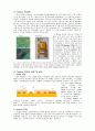 ◎ Flexible PCB란? ◎ Flexible PCB의 종류 및 용도 ◎ FPCB제조 공정 2페이지