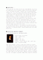 데카르트와 베이컨의 비교분석 2페이지